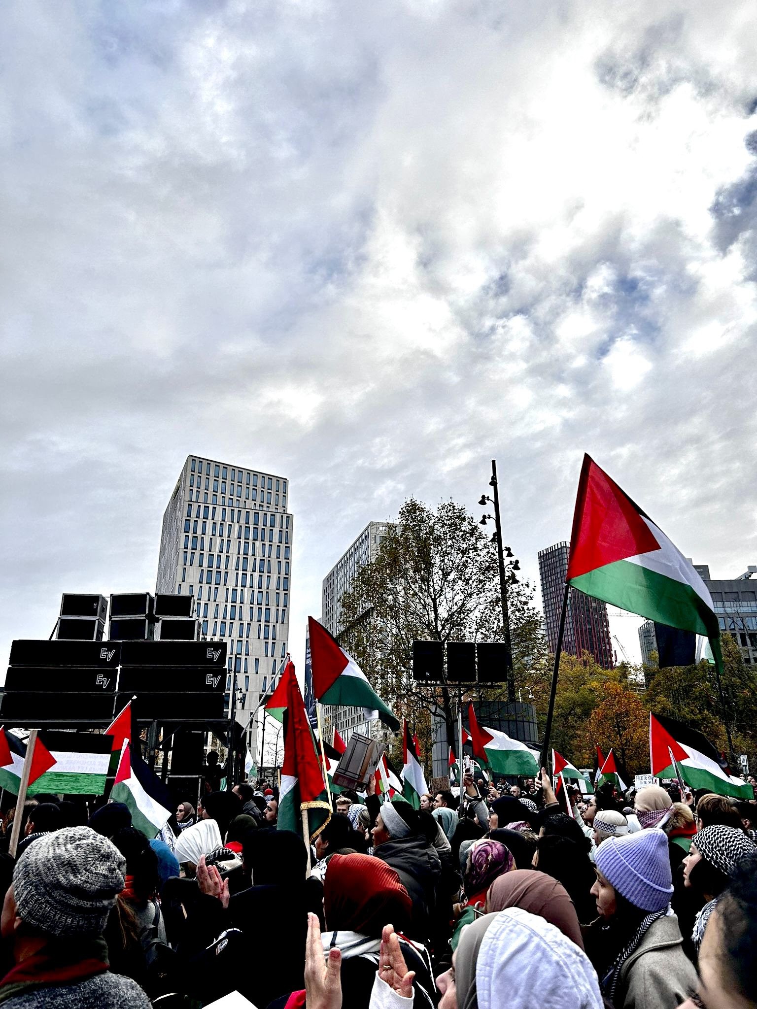 Foto van de demonstratie met veel Palestijnse vlaggen.